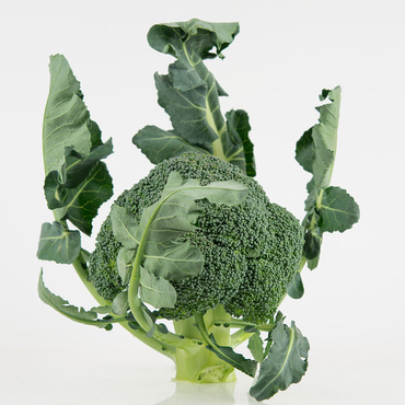 broccoli leaves food trend